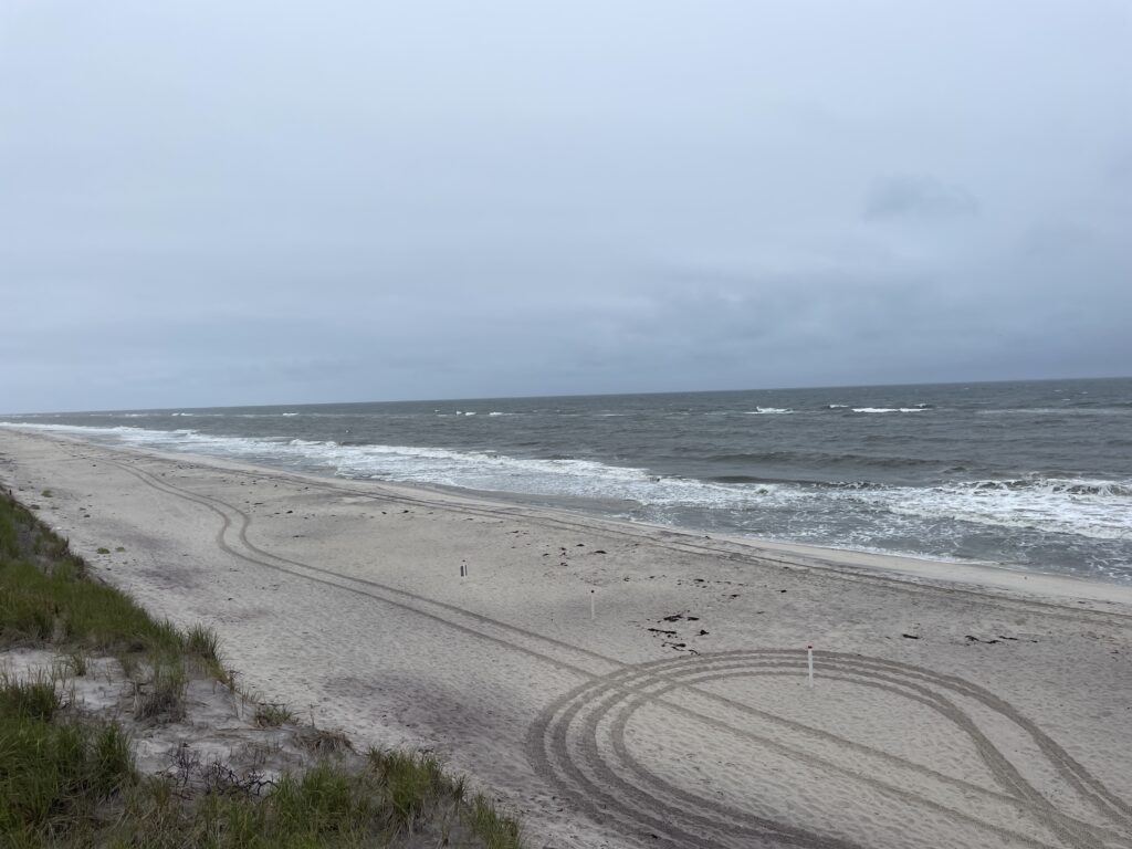 a beach with waves crashing on it (MyCoast AI)