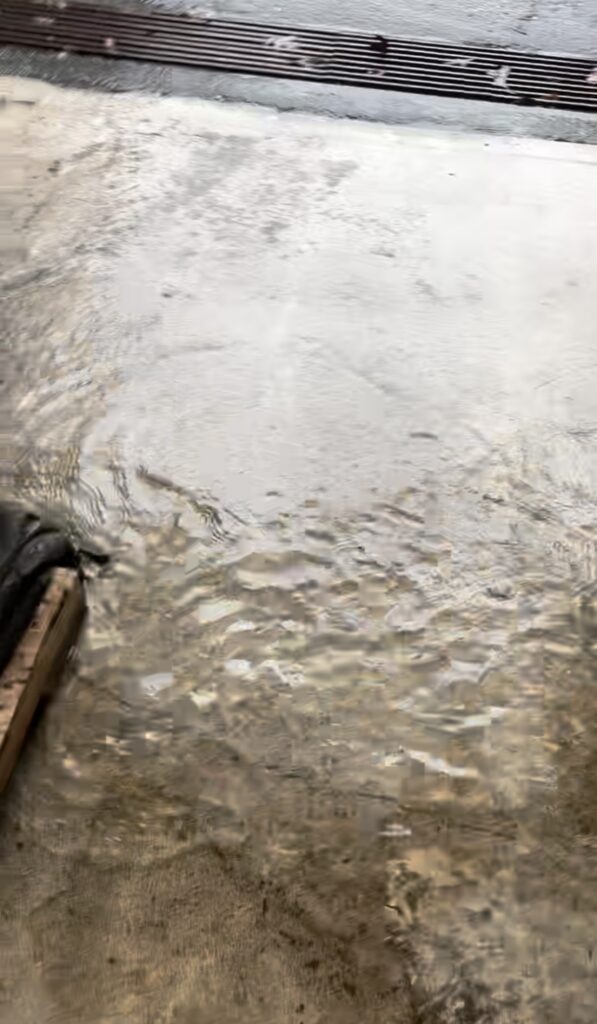 a close up of a grey surface (MyCoast AI)