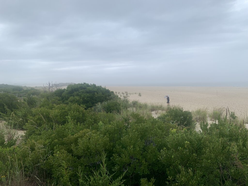 a person walking in a field (MyCoast AI)