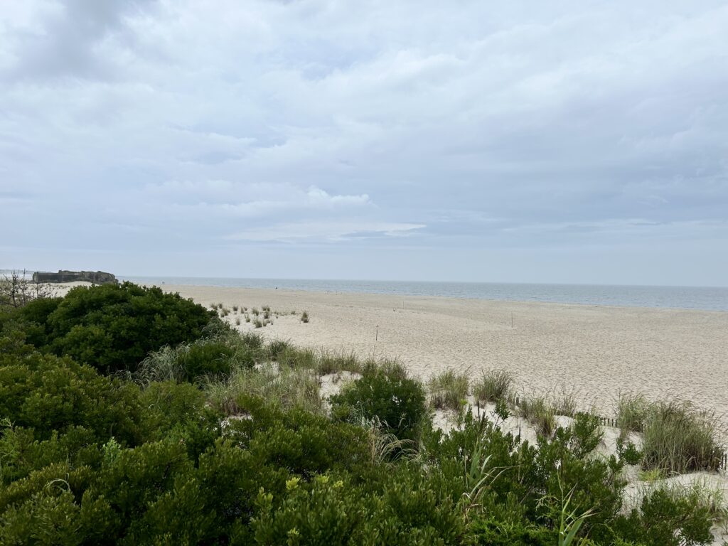a sandy beach with bushes and trees (MyCoast AI)