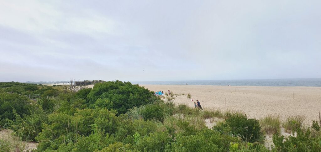 a group of people walking on a sandy beach (MyCoast AI)