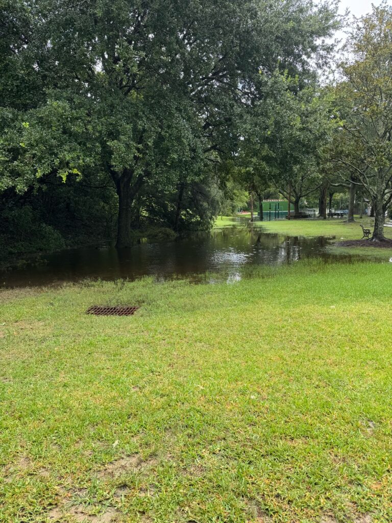 a pond surrounded by grass and trees (MyCoast AI)