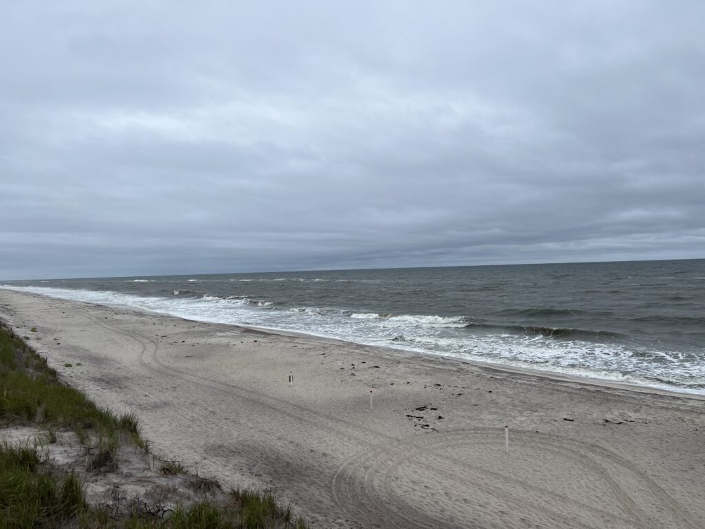 a beach with waves crashing on it (MyCoast AI)