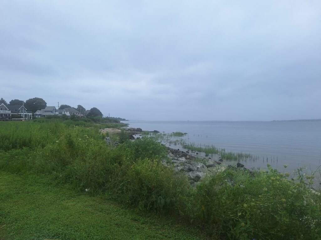 a grassy area next to a body of water (MyCoast AI)