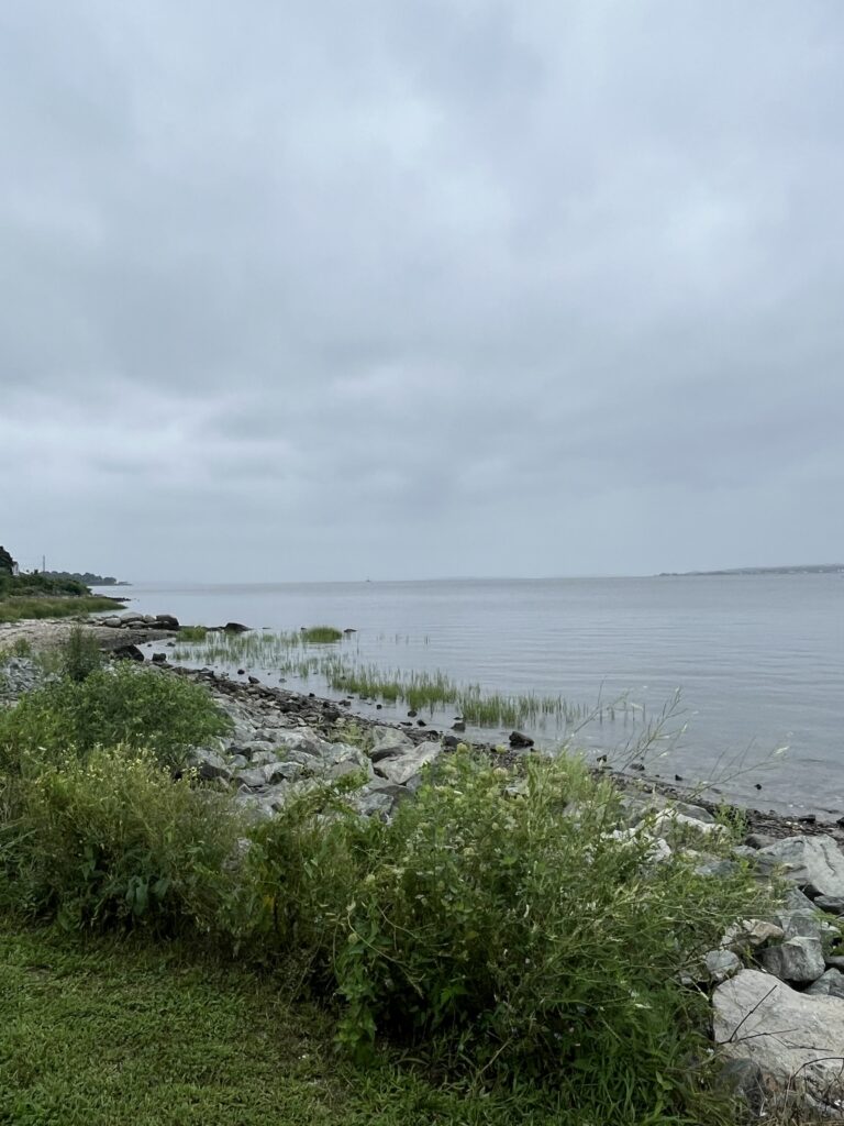 a rocky beach with a body of water in the background (MyCoast AI)