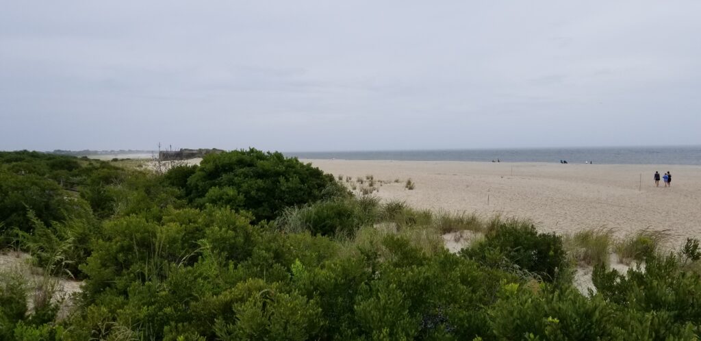 a group of people walking on a beach (MyCoast AI)