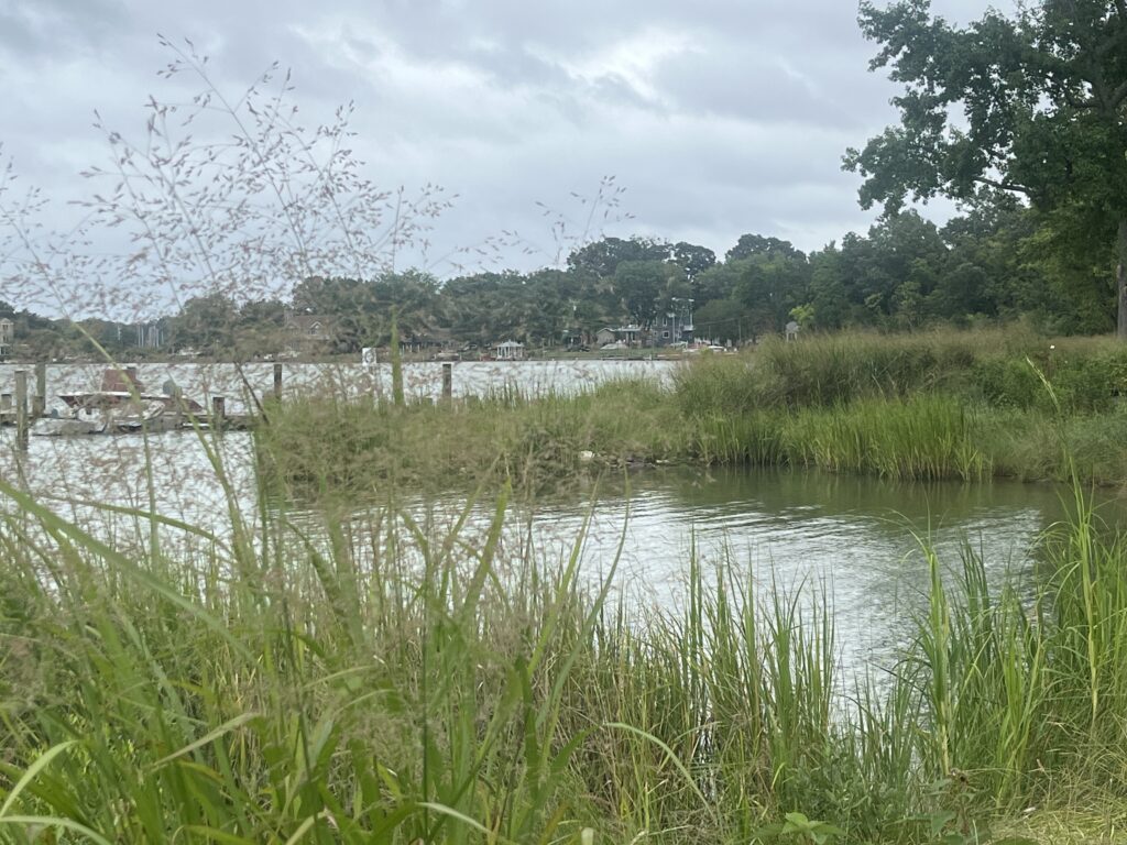 a body of water with grass and trees around it (MyCoast AI)
