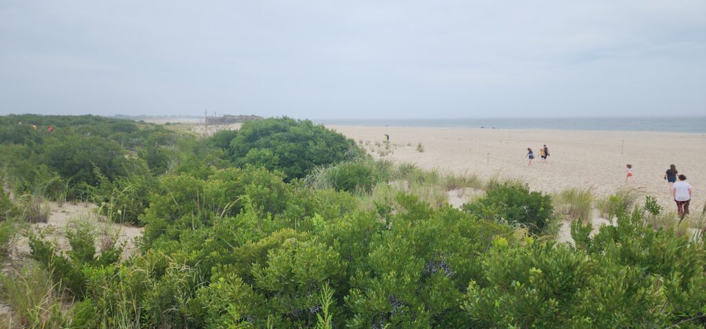 a group of people walking on a beach (MyCoast AI)