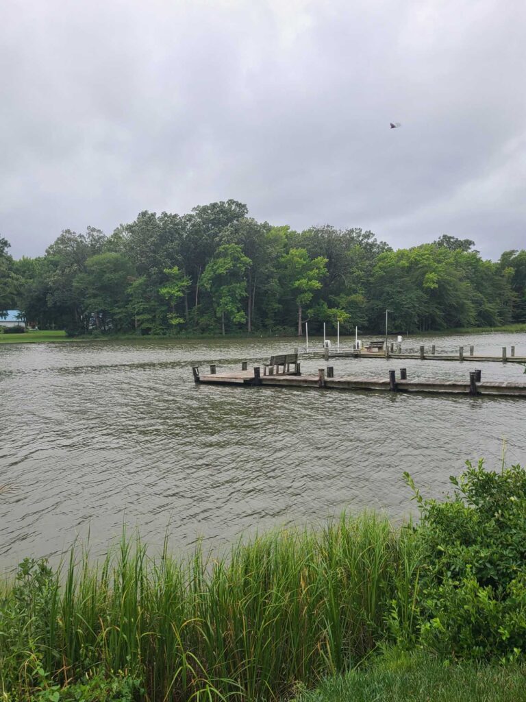 a dock in a lake (MyCoast AI)