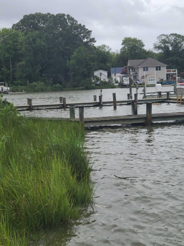 a dock over a body of water (MyCoast AI)