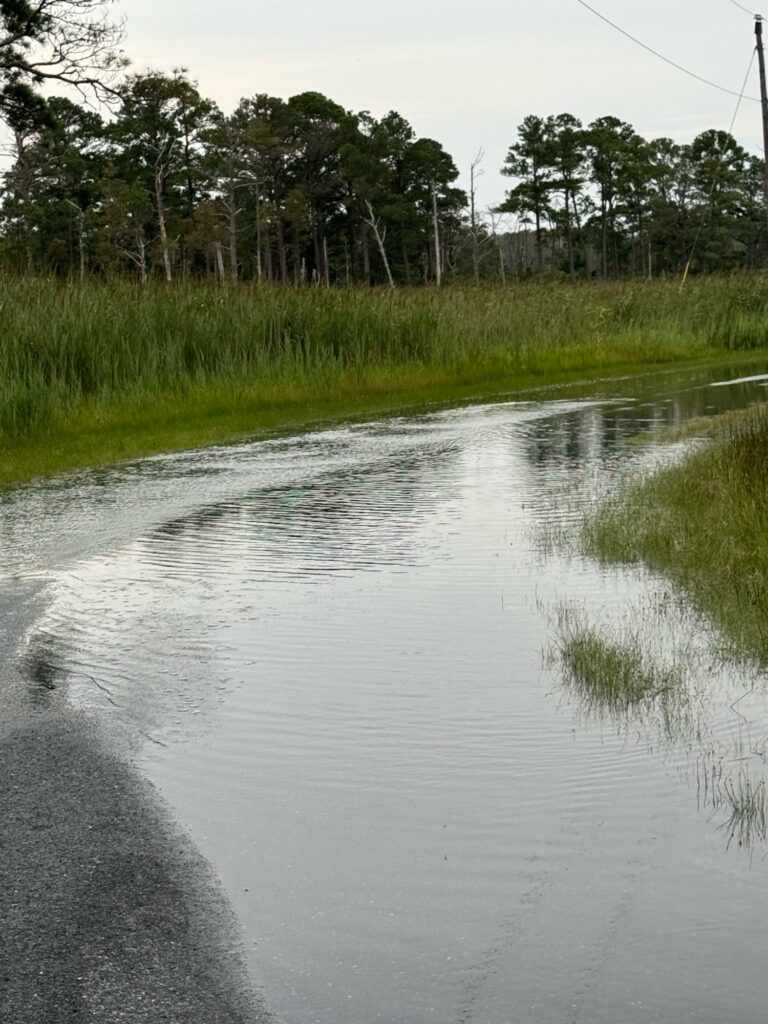 a body of water with grass and trees around it (MyCoast AI)