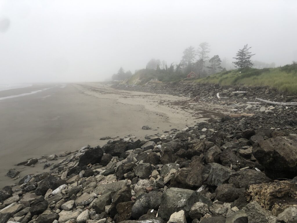 a rocky beach with fog (MyCoast AI)