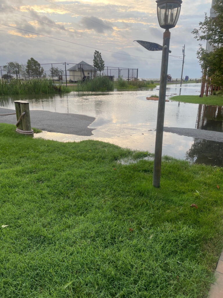 a flooded area with a lamp post (MyCoast AI)