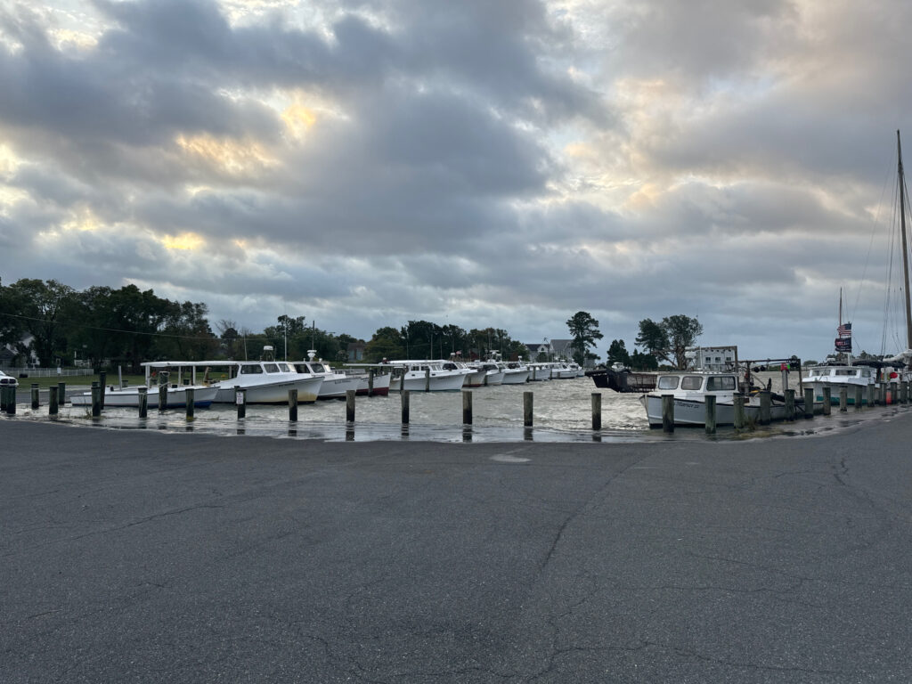 a dock with boats (MyCoast AI)