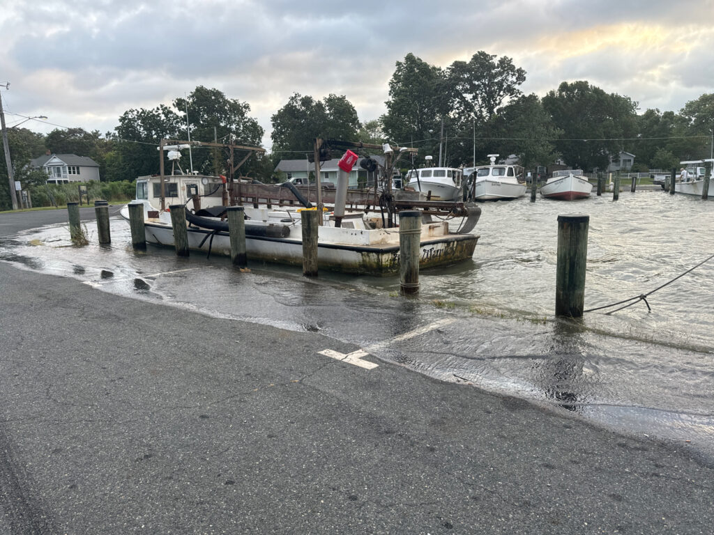 boats docked at a pier (MyCoast AI)