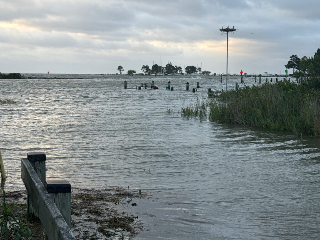 a body of water with a dock and a group of people in it (MyCoast AI)