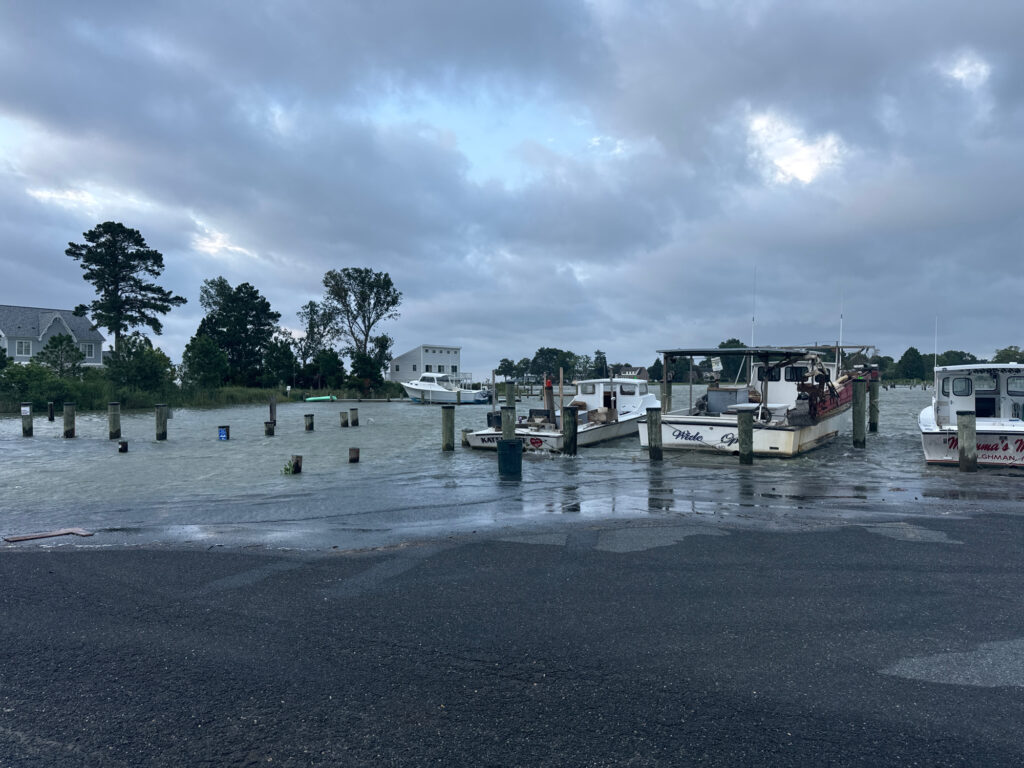 boats in the water (MyCoast AI)