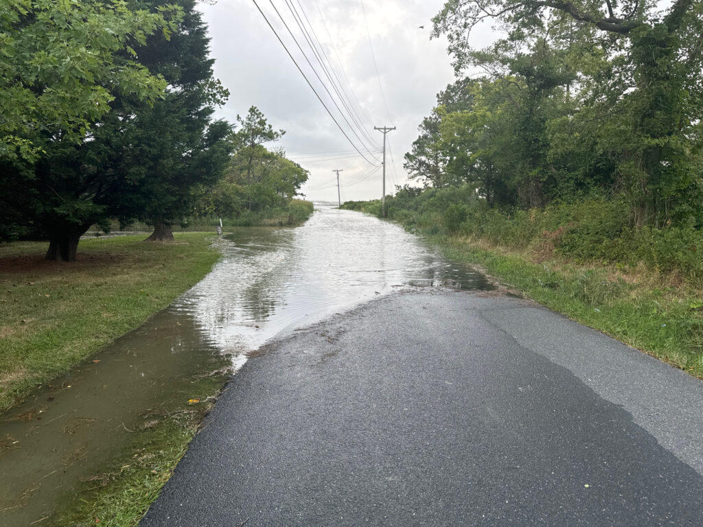 a road with water on the side (MyCoast AI)