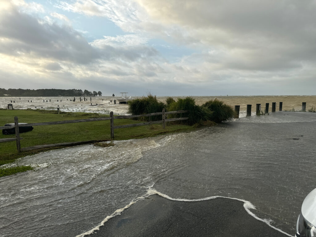 a body of water with a fence and grass on the side (MyCoast AI)
