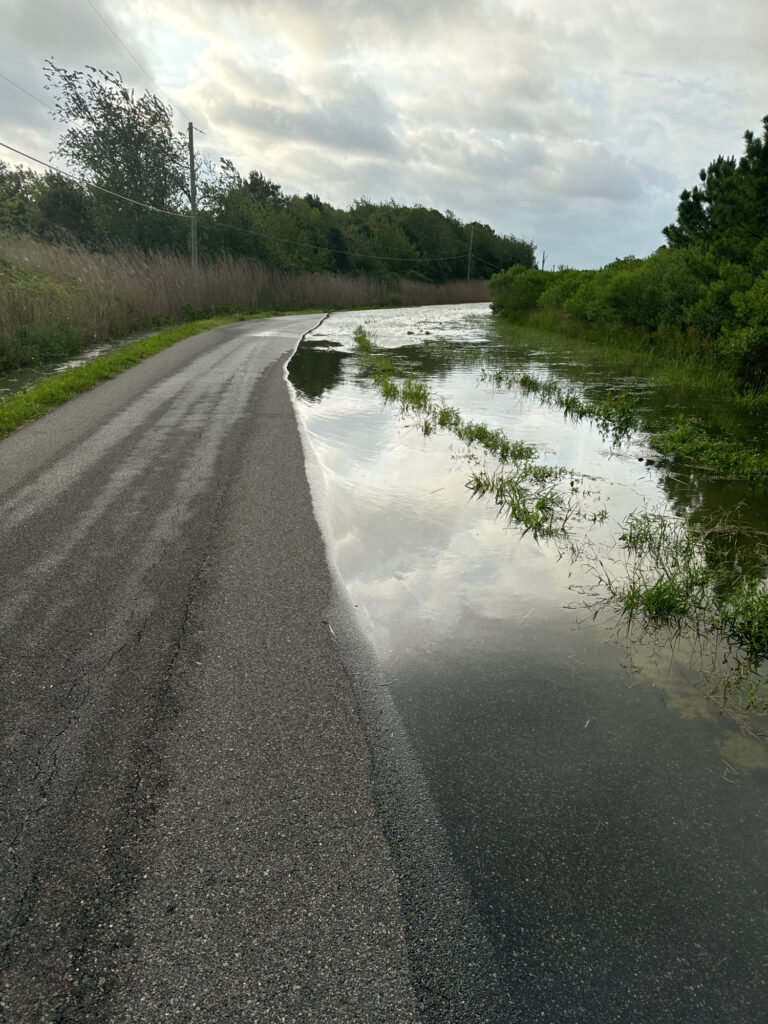 a road with water on the side (MyCoast AI)