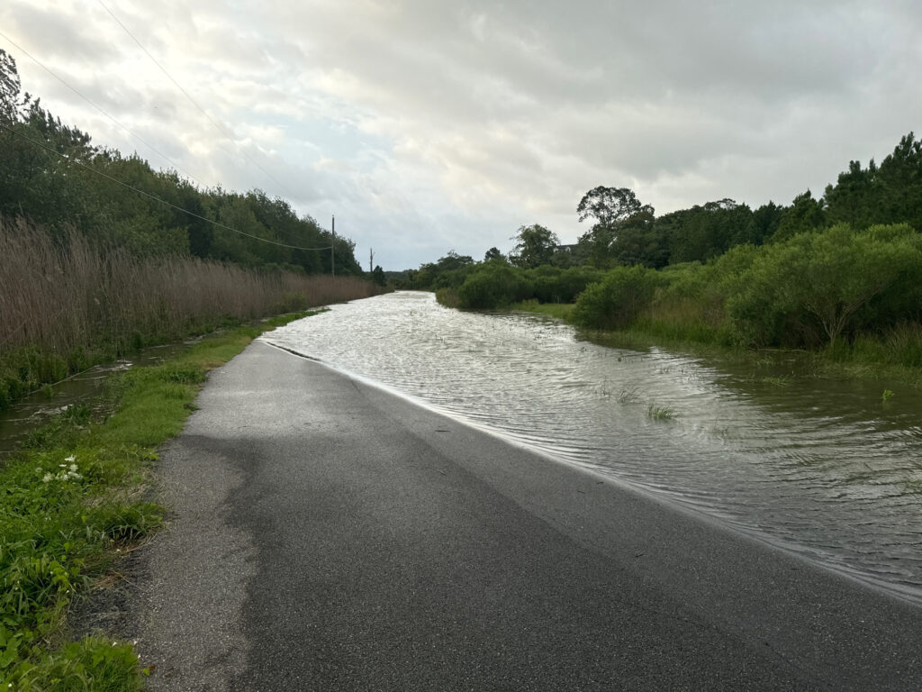 a road next to a body of water (MyCoast AI)
