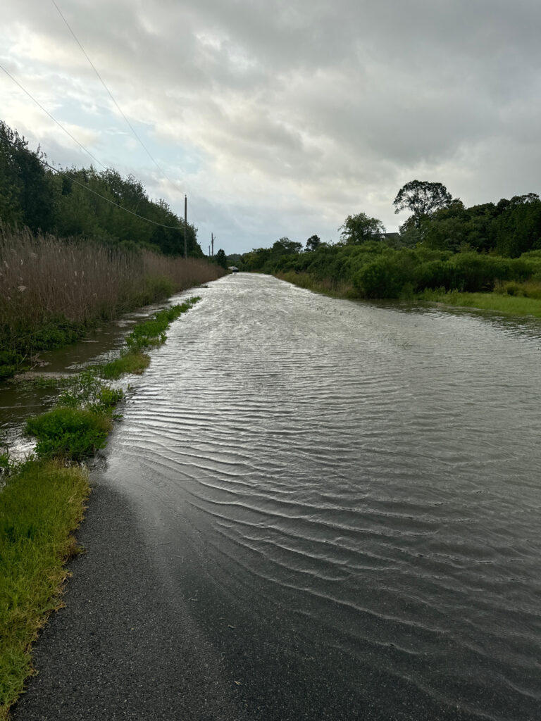 a river with a road and trees on the side (MyCoast AI)