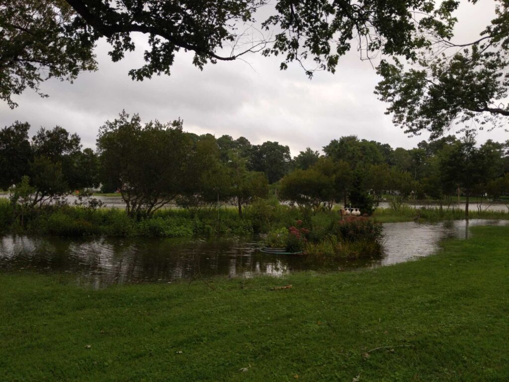 a pond with trees around it (MyCoast AI)