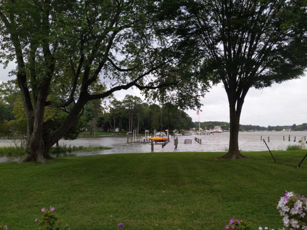 a grassy area with boats in it (MyCoast AI)