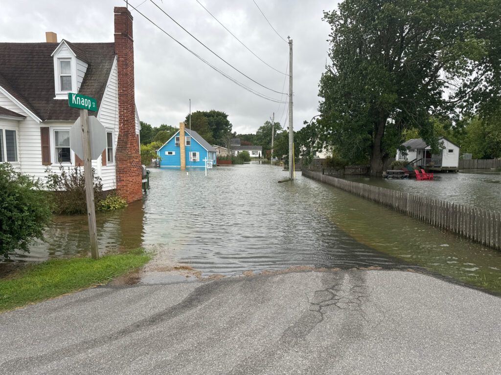 a flooded street with houses and trees (MyCoast AI)