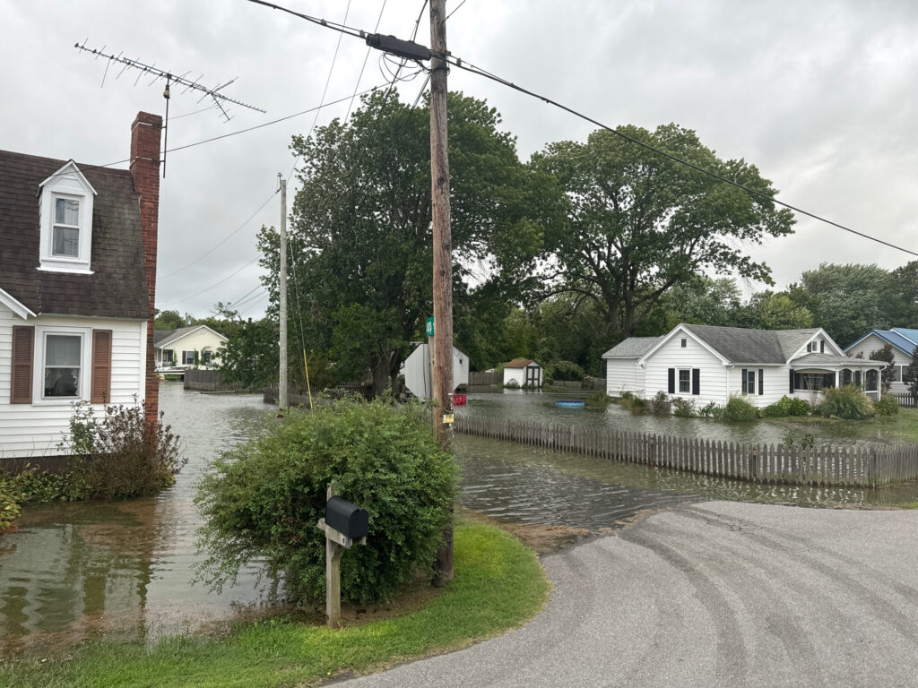 a flooded street with houses and trees (MyCoast AI)