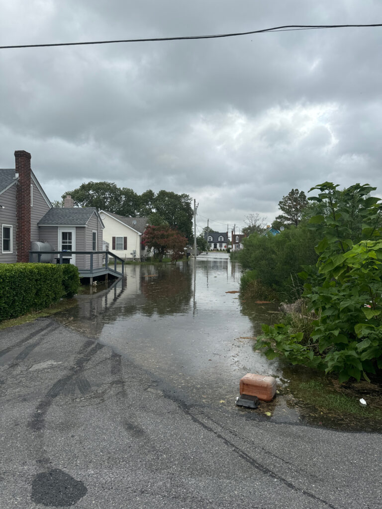 a flooded street with houses and trees (MyCoast AI)