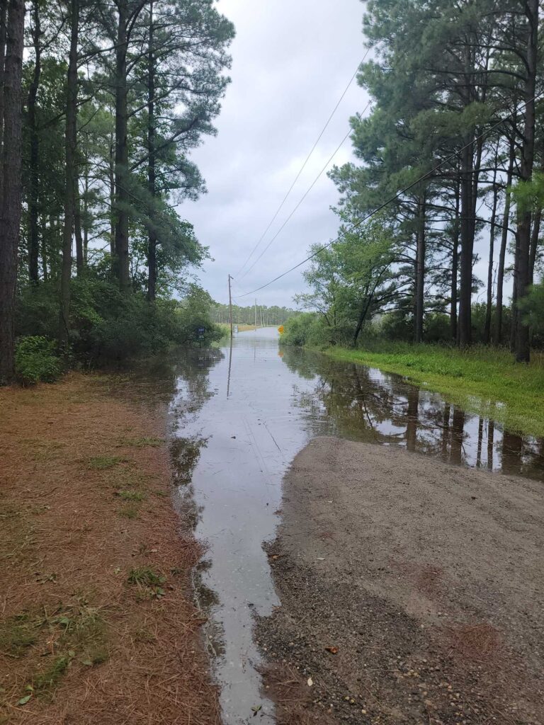 a muddy road with trees on either side of it (MyCoast AI)