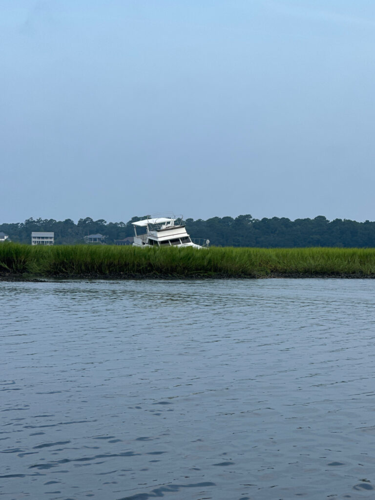 a body of water with a boat in it and grass around it (MyCoast AI)