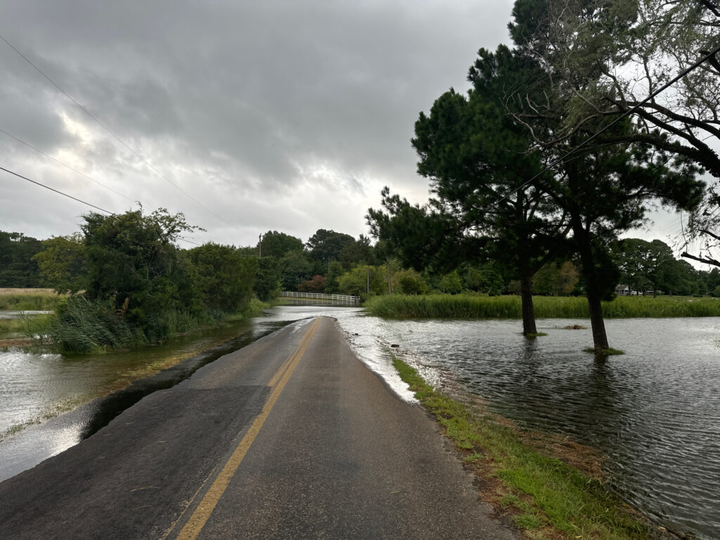 a road with water on the side (MyCoast AI)