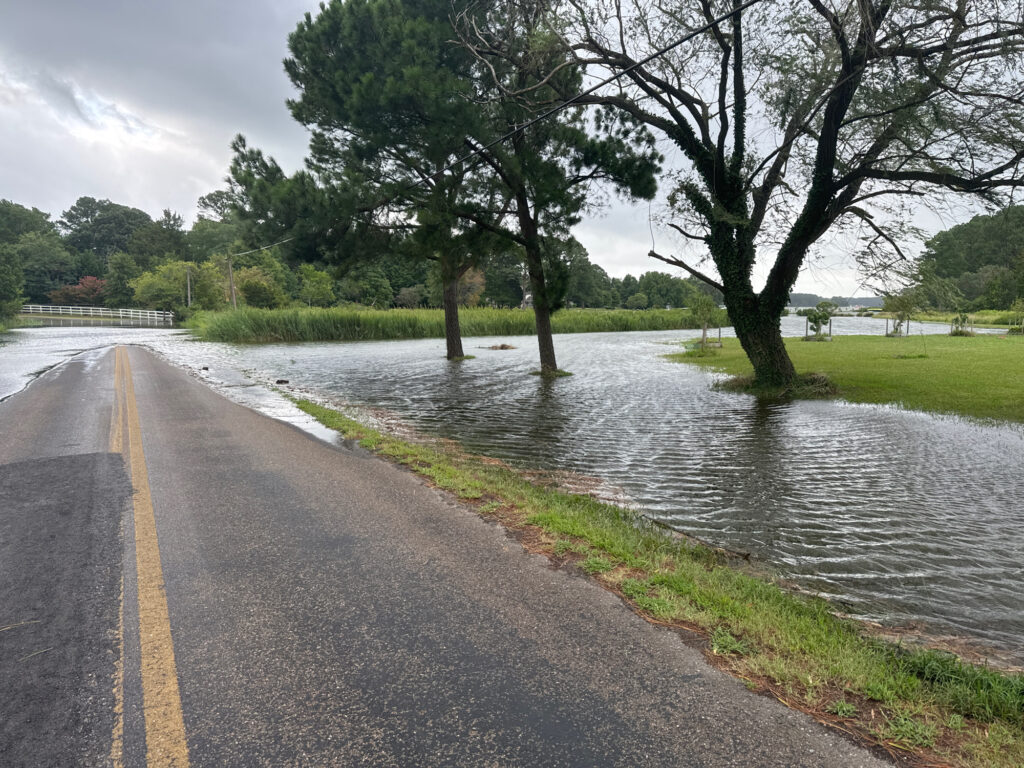 a road with water on the side (MyCoast AI)