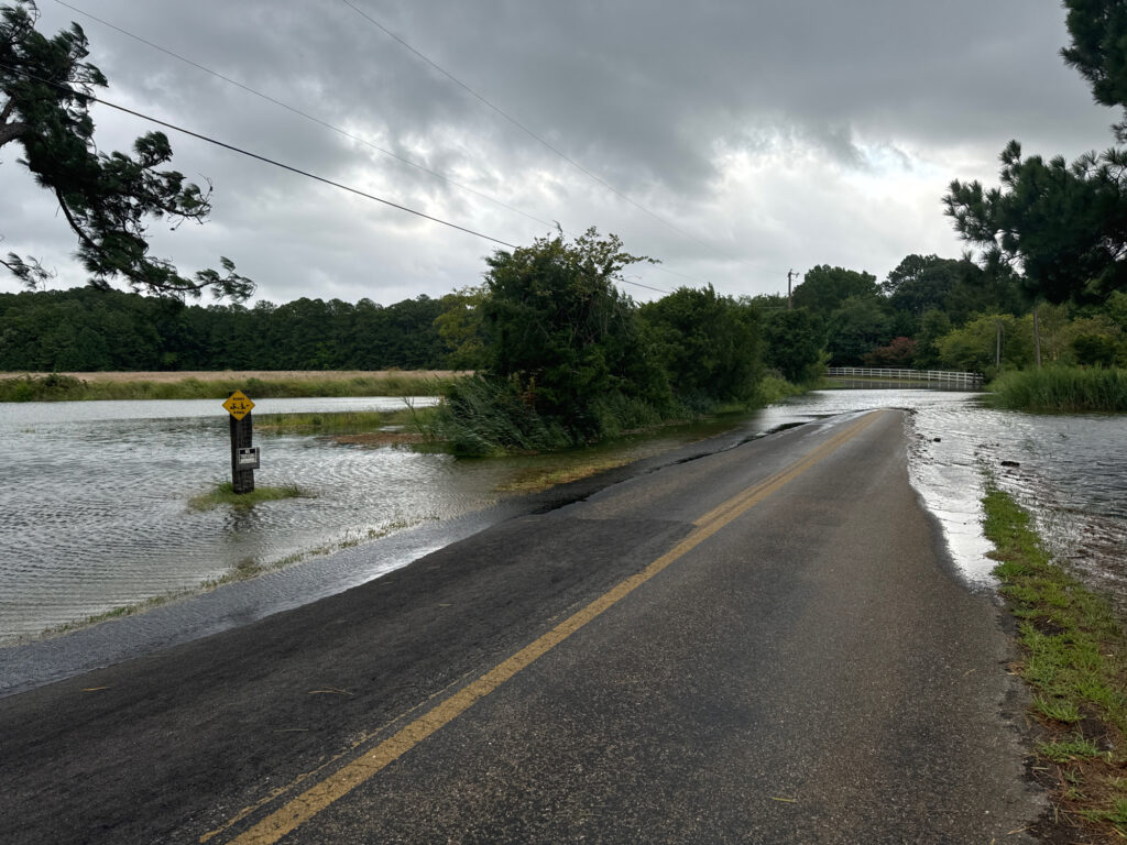 a flooded road with a fire hydrant on the side (MyCoast AI)