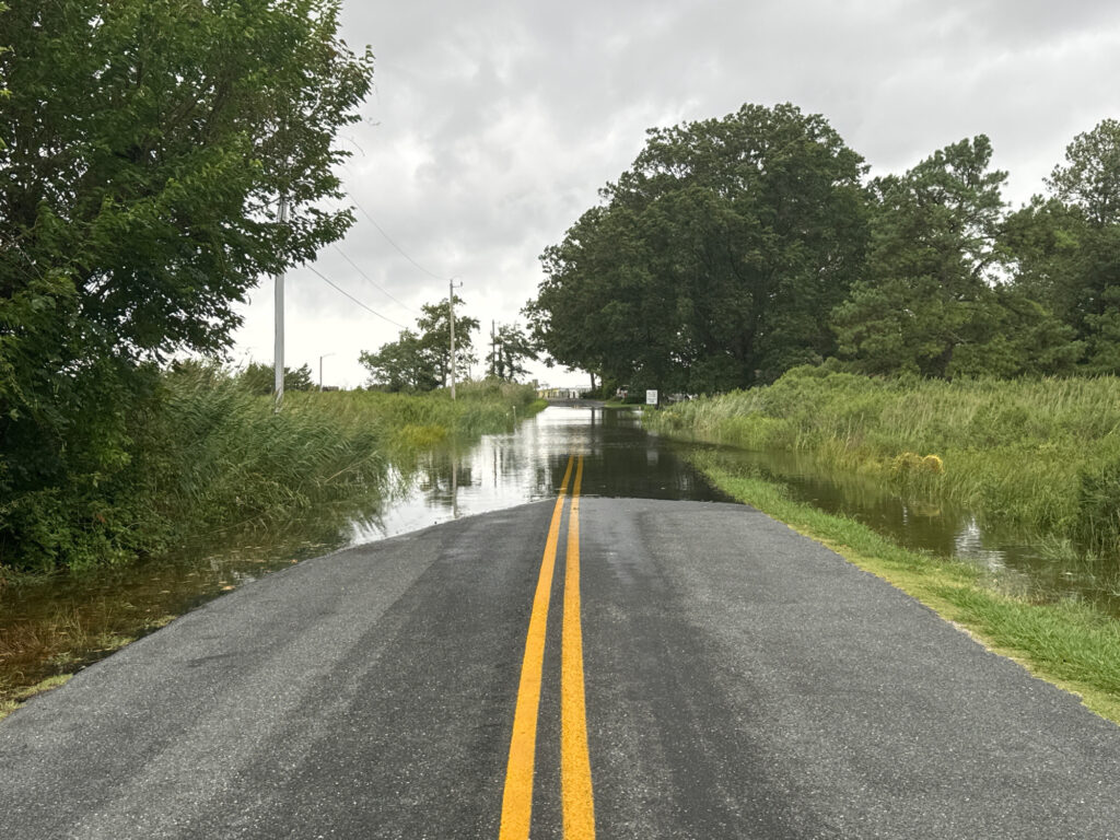 a road with water on the side (MyCoast AI)