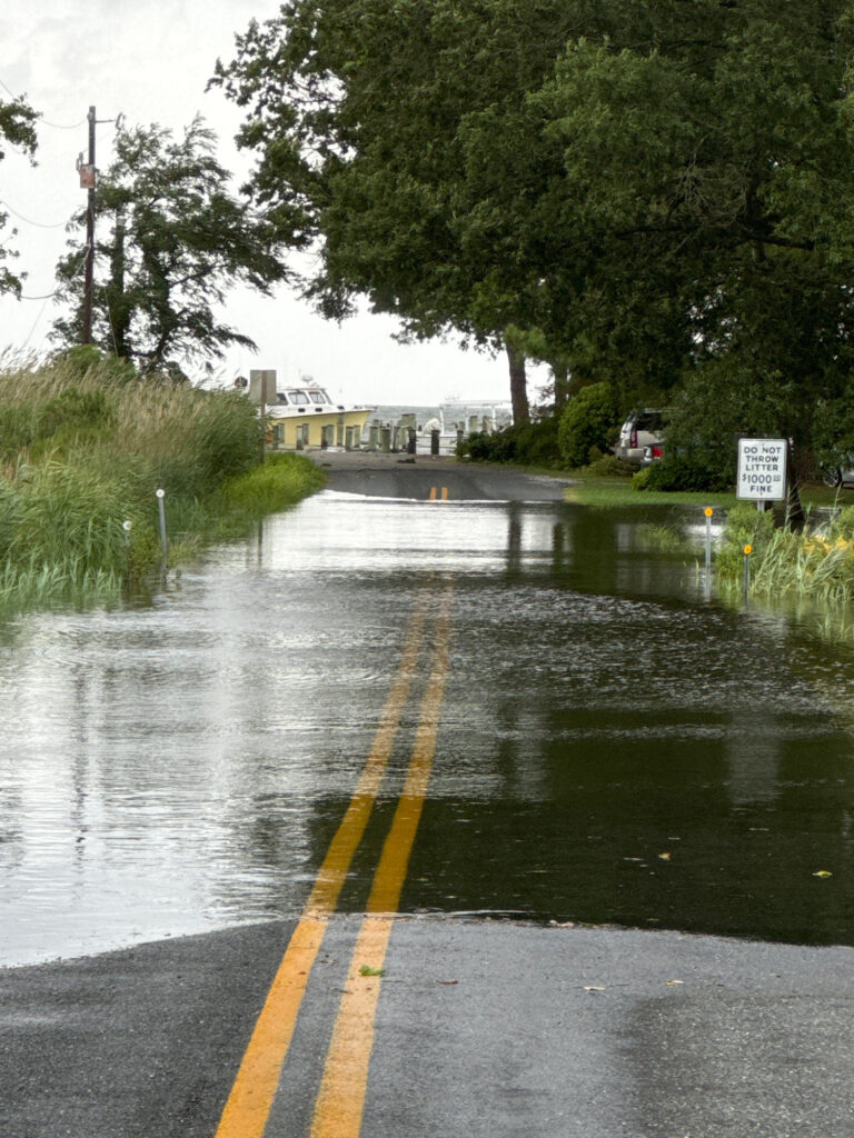 a flooded road with a yellow line (MyCoast AI)