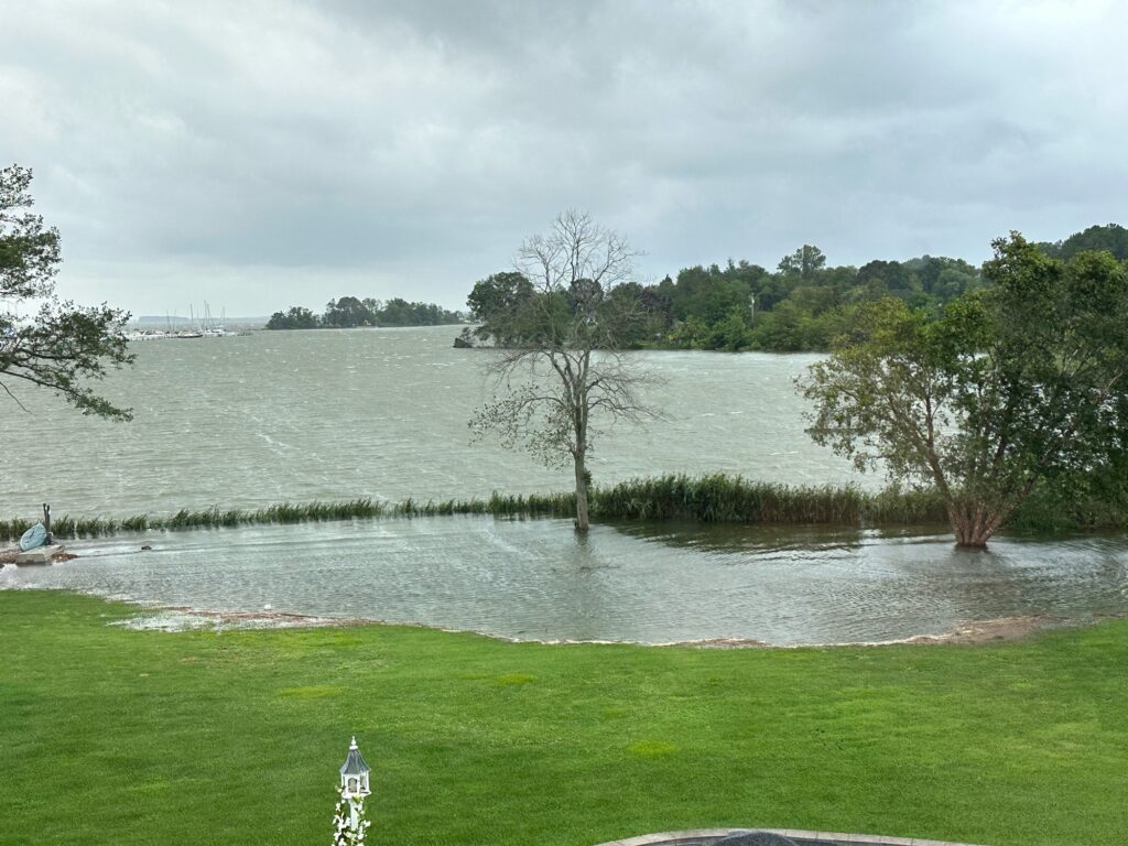 a body of water with trees and grass around it (MyCoast AI)
