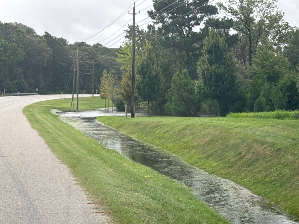 a road with grass and trees on the side (MyCoast AI)