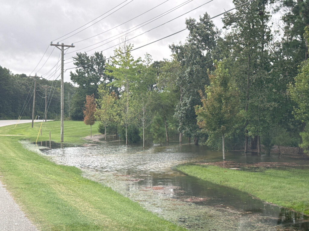 a flooded road with trees on either side of it (MyCoast AI)