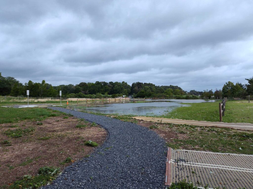 a river with a path and grass (MyCoast AI)