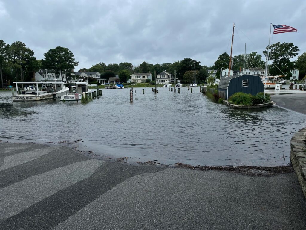 a body of water with boats and buildings along it (MyCoast AI)