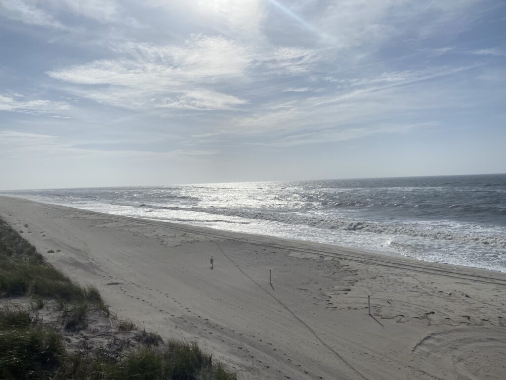 a beach with waves crashing on it (MyCoast AI)