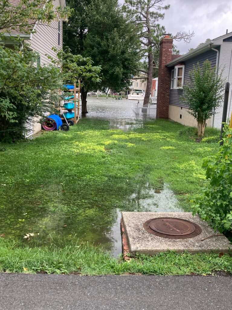a yard with a wheelbarrow and a yard with a house and trees (MyCoast AI)