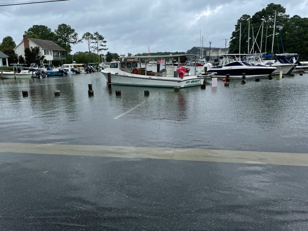boats in the water (MyCoast AI)
