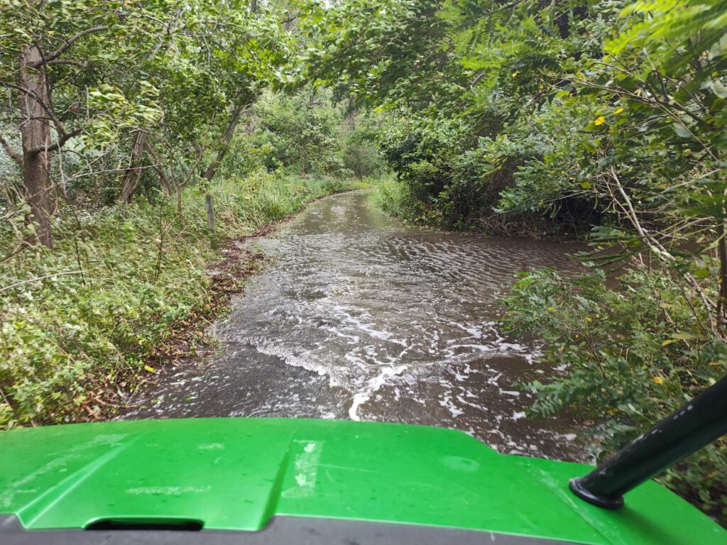 a river running through a forest (MyCoast AI)