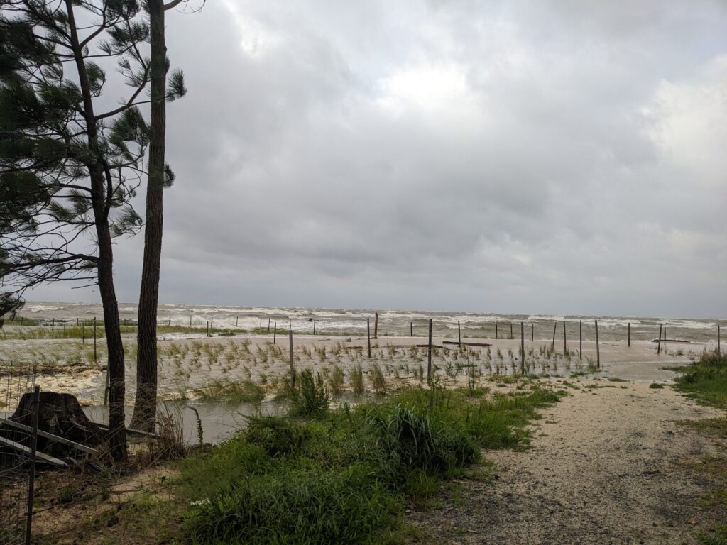 a fenced off area with trees and a dirt road (MyCoast AI)