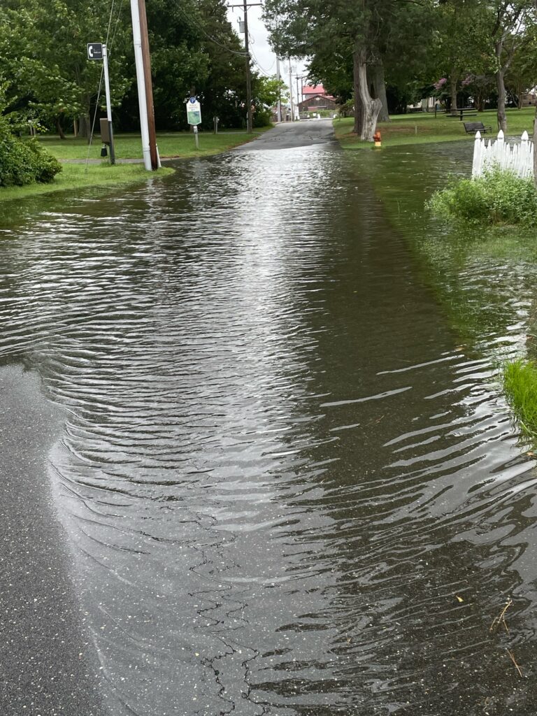 a flooded street with trees and grass (MyCoast AI)