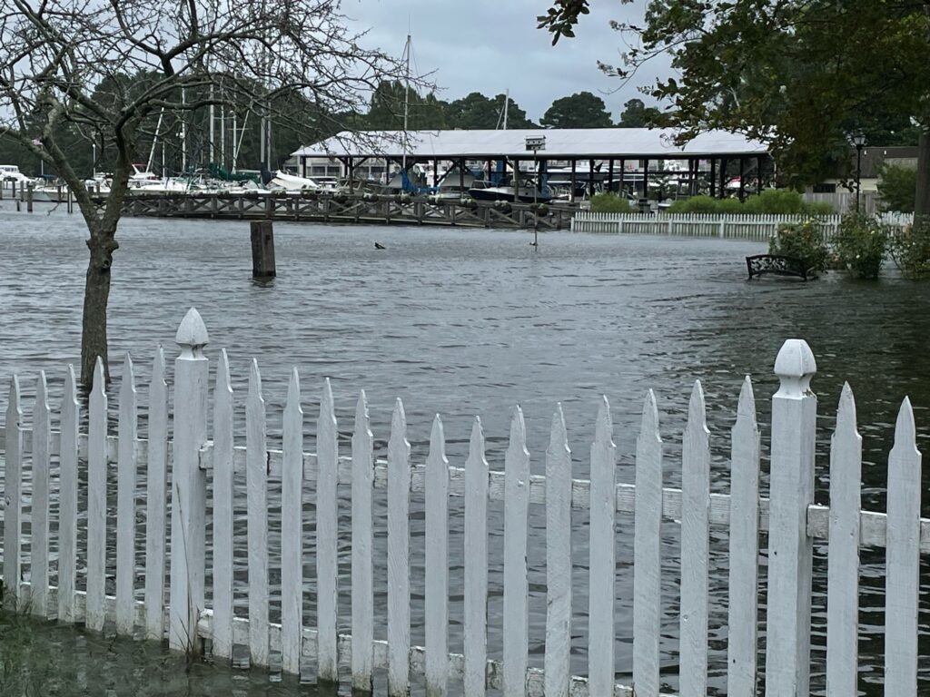 a white fence in a flooded area (MyCoast AI)